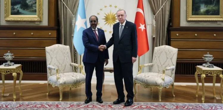Cumhurbaşkanı Erdoğan, Somali Cumhurbaşkanı Mahmud ile bir araya geldi
