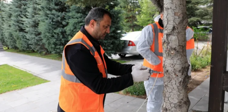TALAS’TAN ÇEVRE DOSTU İLAÇLAMA ATAĞI