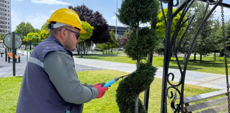 BÜYÜKŞEHİR’DEN KENT ESTETİĞİNE TİTİZ DOKUNUŞ: SÜS BİTKİLERİNE FORM BUDAMASI
