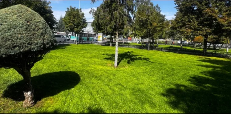 KAYSERİ BÜYÜKŞEHİR’DEN KENT GENELİNDE KAPSAMLI ÇİM BİÇME VE ÇEVRE DÜZENLEME SEFERBERLİĞİ