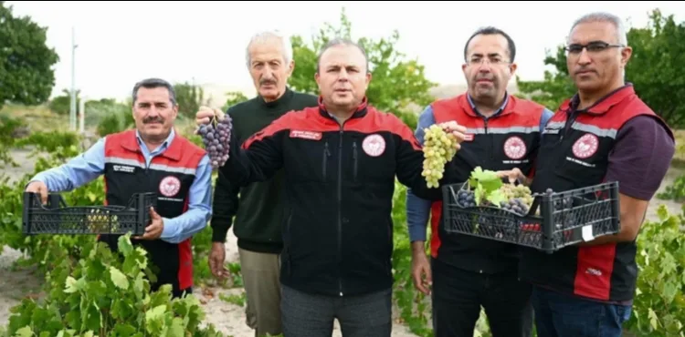İncesu’da bağ bozumu yapıldı, aspir yağı üretimi incelendi
