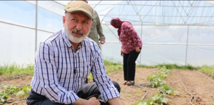 KOCASİNAN’IN TÜRKİYE’YE ÖRNEK OLAN TARIM PROJESİNDE SON HASAT
