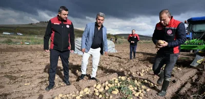 TALAS’TA PATATES HASADI YAPILDI