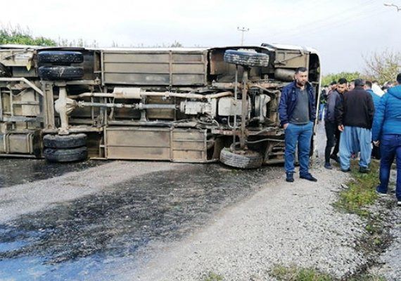 Alanya'da telef olmu binlerce balk sahile vurdu