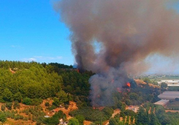 Antalya'da antik kent yaknnda orman yangn